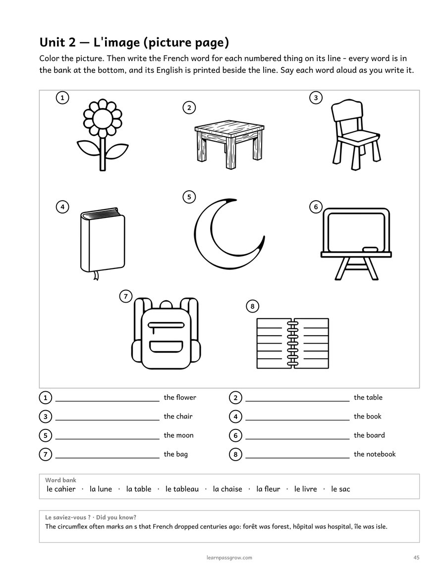 The French Ladder — Basic User, Module 1 of 5 — inside page 4