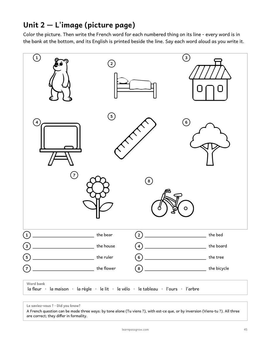 The French Ladder — Basic User, Module 2 of 5 — inside page 4