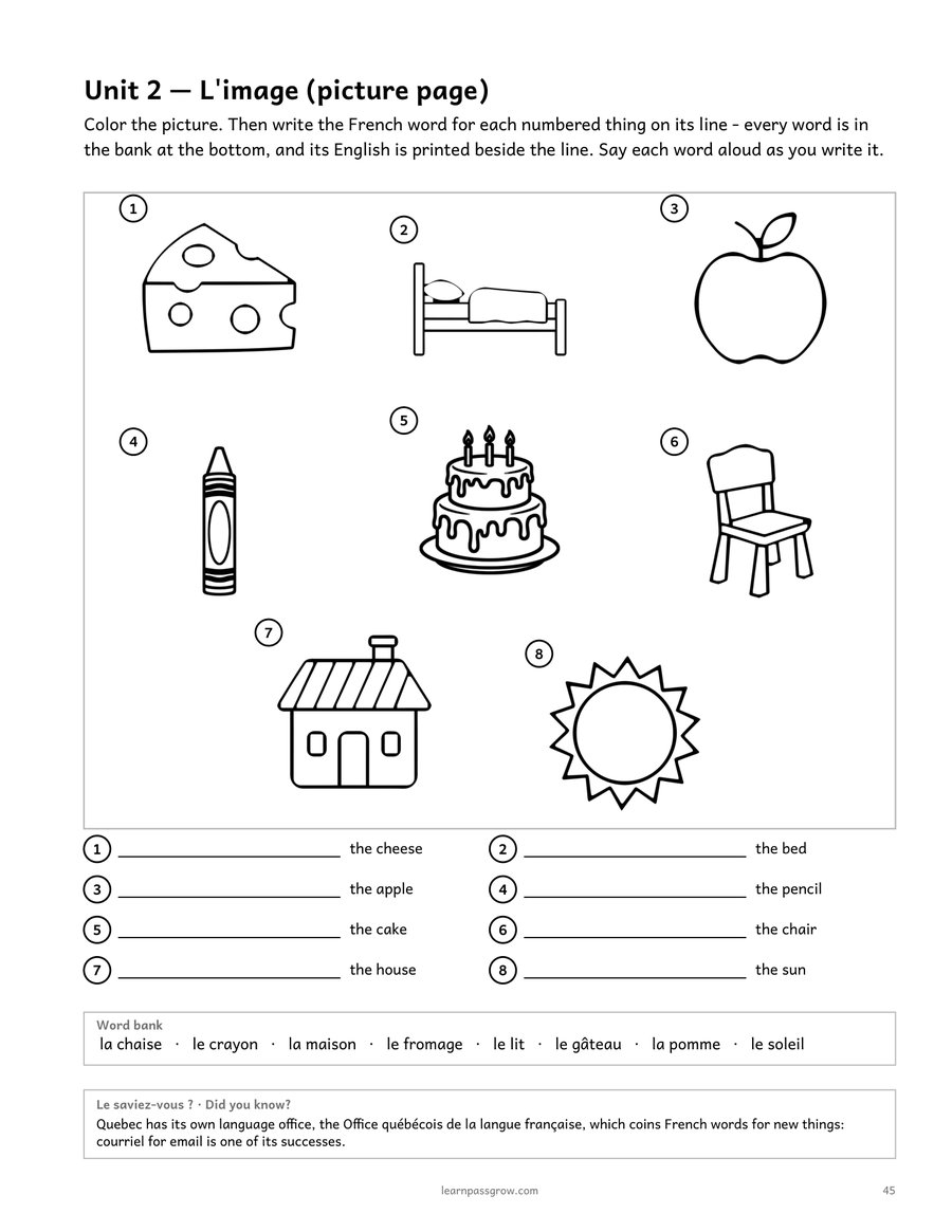 The French Ladder — Basic User, Module 5 of 5 — inside page 4